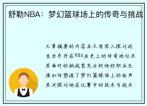 舒勒NBA：梦幻篮球场上的传奇与挑战